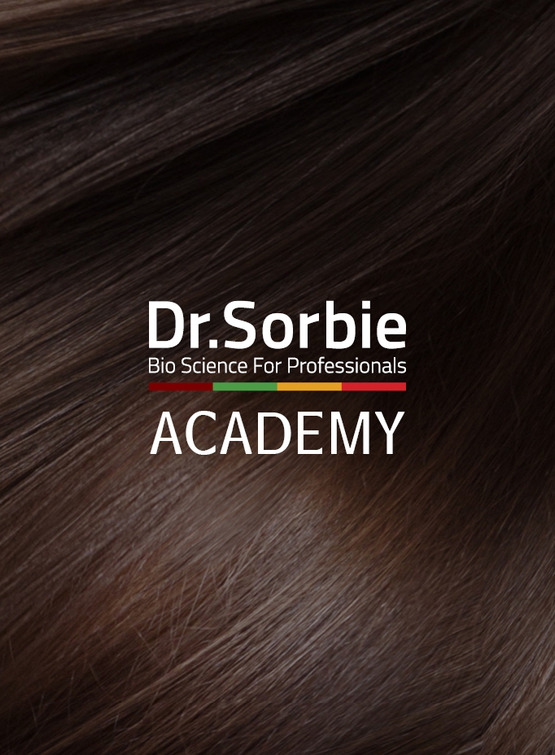 Dr.Sorbie Academy